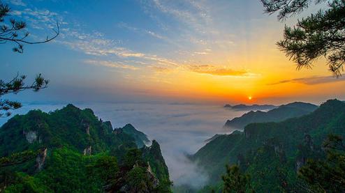 張家界森林公園（金鞭溪、袁家界、楊家界、天子山、十里畫廊）住山上2天1游（可看日出）